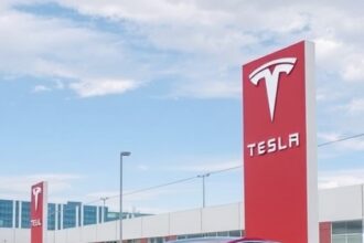 Teslanin Turkiyedeki Fabrika Hamlesi Buyuyor Kontrol Dengesinde Yeni Bir Sayfa 1779351865
